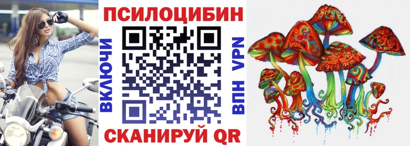 Галлюциногенные грибы мицелий купить закладку Гудермес