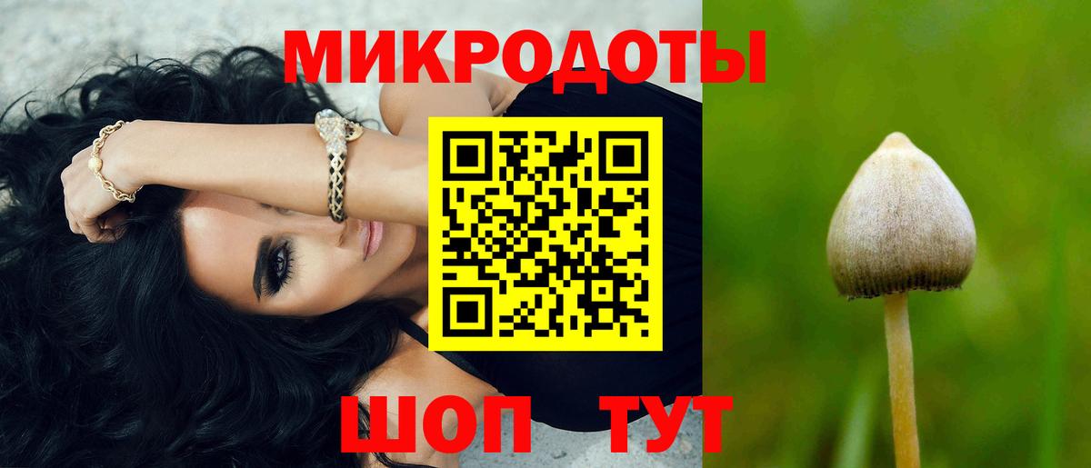 Псилоцибиновые грибы ЛСД Гудермес